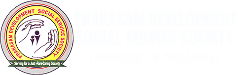 LOGO-PDSSS